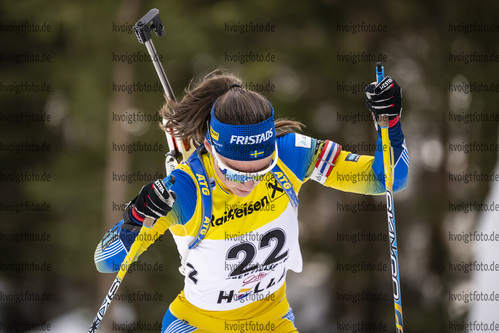 13.03.2020, xkvx, Biathlon IBU Cup Obertilliach, Sprint Damen, v.l. Ella Halvarsson (Sweden)  / 