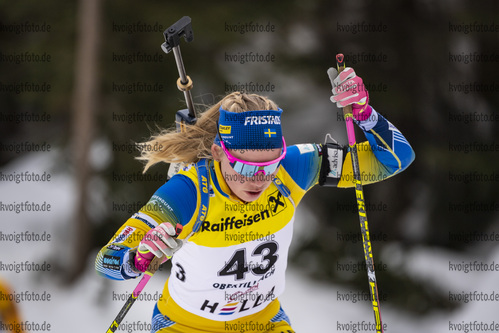 13.03.2020, xkvx, Biathlon IBU Cup Obertilliach, Sprint Damen, v.l. Felicia Lindqvist (Sweden)  / 