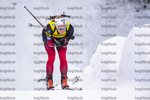 13.03.2020, xkvx, Biathlon IBU Cup Obertilliach, Sprint Damen, v.l. Juni Arnekleiv (Norway)  / 