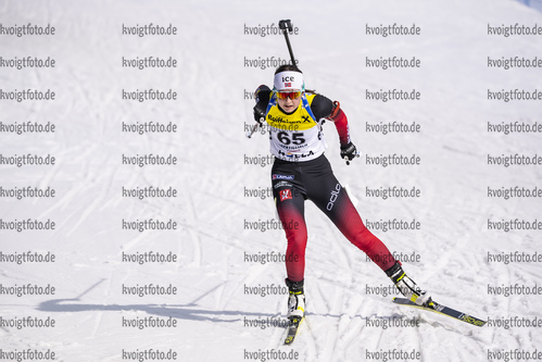 13.03.2020, xkvx, Biathlon IBU Cup Obertilliach, Sprint Damen, v.l. Marthe Krakstad Johansen (Norway)  / 