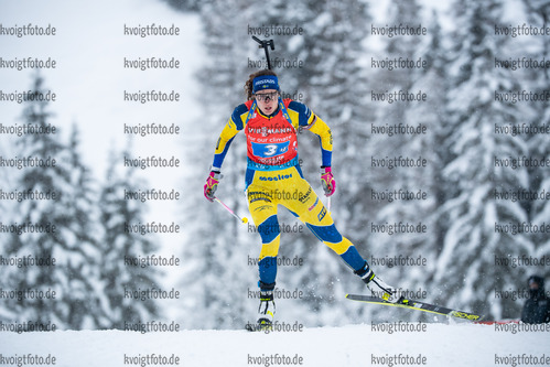 11.12.2021, xkvx, Biathlon IBU World Cup Hochfilzen, Relay Women, v.l. Hanna Oeberg (Sweden) in aktion / in action competes